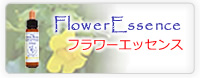 Flower Essence フラワーエッセンス